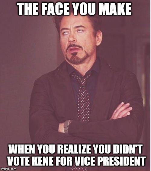 Face You Make Robert Downey Jr Meme | THE FACE YOU MAKE; WHEN YOU REALIZE YOU DIDN'T VOTE KENE FOR VICE PRESIDENT | image tagged in memes,face you make robert downey jr | made w/ Imgflip meme maker