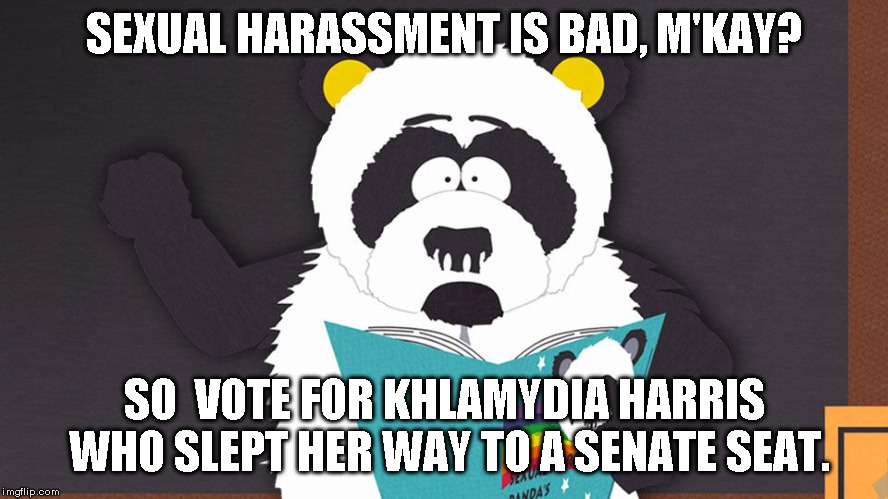 Khlamydia Harris | SEXUAL HARASSMENT IS BAD, M'KAY? SO  VOTE FOR KHLAMYDIA HARRIS WHO SLEPT HER WAY TO A SENATE SEAT. | image tagged in sexual harassment,horizontal harris | made w/ Imgflip meme maker