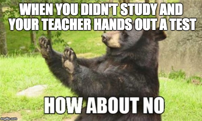 When you didn't study | WHEN YOU DIDN'T STUDY AND YOUR TEACHER HANDS OUT A TEST | image tagged in memes,how about no bear | made w/ Imgflip meme maker