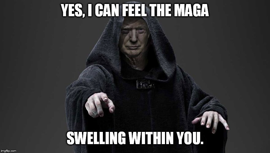 with each reee you become more and more my servent. | YES, I CAN FEEL THE MAGA; SWELLING WITHIN YOU. | image tagged in sith lord trump | made w/ Imgflip meme maker