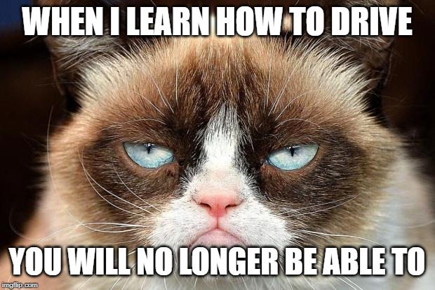 Grumpy Cat Not Amused | WHEN I LEARN HOW TO DRIVE; YOU WILL NO LONGER BE ABLE TO | image tagged in memes,grumpy cat not amused,grumpy cat | made w/ Imgflip meme maker