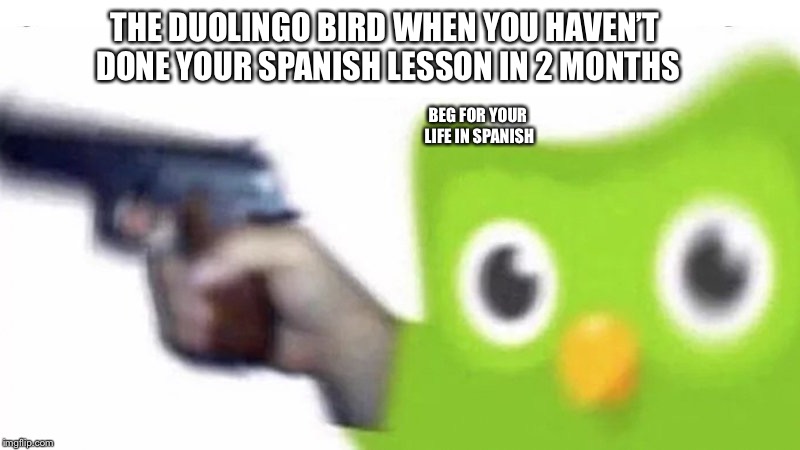 duolingo gun | THE DUOLINGO BIRD WHEN YOU HAVEN’T DONE YOUR SPANISH LESSON IN 2 MONTHS; BEG FOR YOUR LIFE IN SPANISH | image tagged in duolingo gun | made w/ Imgflip meme maker