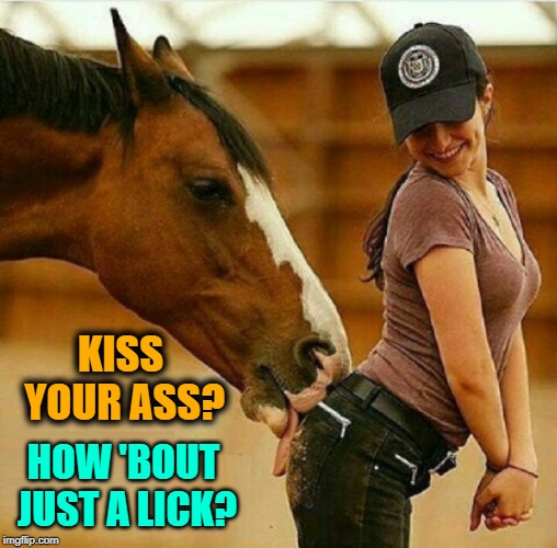 Horseplay or Horsing Around? | KISS YOUR ASS? HOW 'BOUT JUST A LICK? | image tagged in vince vance,horses,kiss my ass,horseplay,just horsing around,sewing my wild oats | made w/ Imgflip meme maker