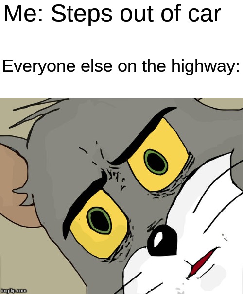 Unsettled Tom Meme | Me: Steps out of car; Everyone else on the highway: | image tagged in memes,unsettled tom | made w/ Imgflip meme maker