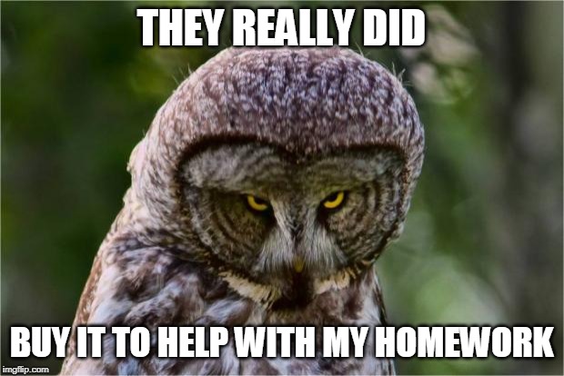Seriously Owl | THEY REALLY DID; BUY IT TO HELP WITH MY HOMEWORK | image tagged in seriously owl | made w/ Imgflip meme maker