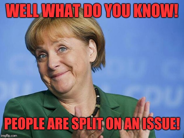 Angela Merkel | WELL WHAT DO YOU KNOW! PEOPLE ARE SPLIT ON AN ISSUE! | image tagged in angela merkel | made w/ Imgflip meme maker
