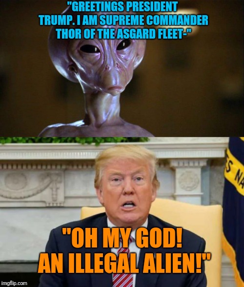 Technically true. | "GREETINGS PRESIDENT TRUMP. I AM SUPREME COMMANDER THOR OF THE ASGARD FLEET-"; "OH MY GOD! AN ILLEGAL ALIEN!" | image tagged in stargate thor,come on this would totally happen | made w/ Imgflip meme maker