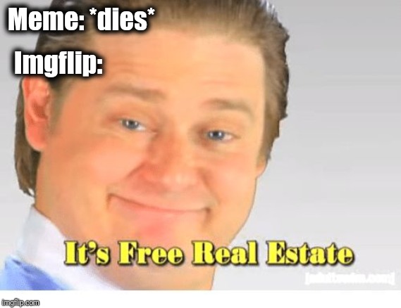People still use meme templates on this site like a year after they die and I think that's beautiful | Imgflip:; Meme: *dies* | image tagged in it's free real estate,memes,imgflip | made w/ Imgflip meme maker