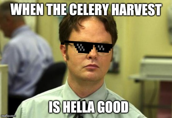 Dwight Schrute | WHEN THE CELERY HARVEST; IS HELLA GOOD | image tagged in memes,dwight schrute | made w/ Imgflip meme maker