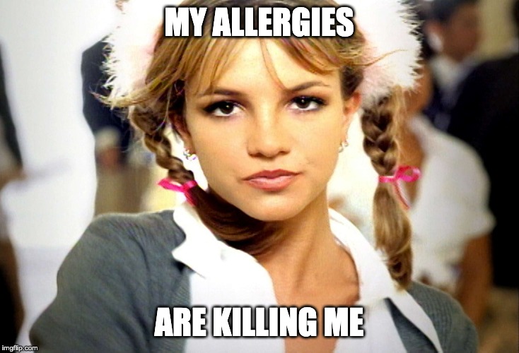 MY ALLERGIES; ARE KILLING ME | made w/ Imgflip meme maker