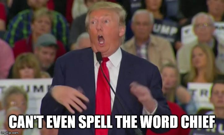 Donald Trump Mocking Disabled | CAN'T EVEN SPELL THE WORD CHIEF | image tagged in donald trump mocking disabled | made w/ Imgflip meme maker
