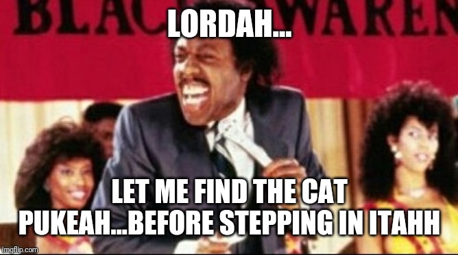 Morning prayer | LORDAH... LET ME FIND THE CAT PUKEAH...BEFORE STEPPING IN ITAHH | image tagged in funny memes | made w/ Imgflip meme maker