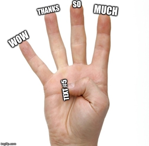 WOW THANKS SO MUCH TEXT #5 | image tagged in four fingered | made w/ Imgflip meme maker