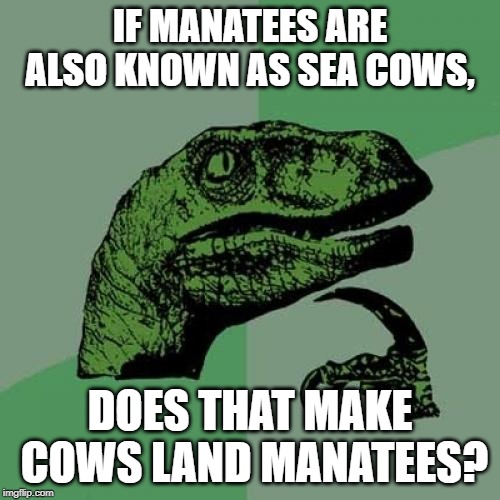 Philosoraptor | IF MANATEES ARE ALSO KNOWN AS SEA COWS, DOES THAT MAKE COWS LAND MANATEES? | image tagged in memes,philosoraptor | made w/ Imgflip meme maker