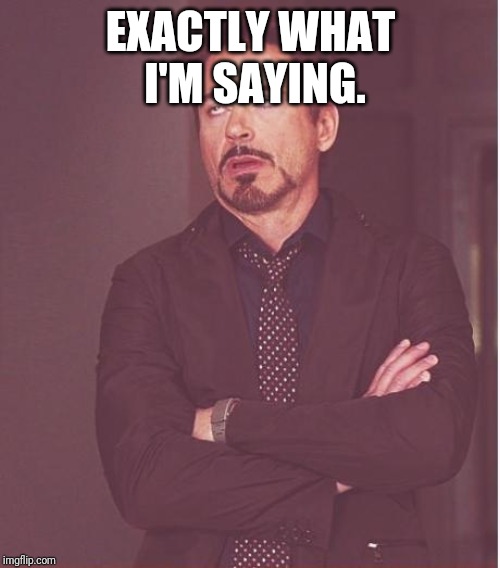 Face You Make Robert Downey Jr Meme | EXACTLY WHAT I'M SAYING. | image tagged in memes,face you make robert downey jr | made w/ Imgflip meme maker
