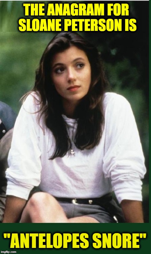 STOP!  IMPORTANT INFORMATION! | THE ANAGRAM FOR SLOANE PETERSON IS; "ANTELOPES SNORE" | image tagged in sloane peterson,vince vance,mia sara,ferris bueller's day off,anagrams,skipping school | made w/ Imgflip meme maker