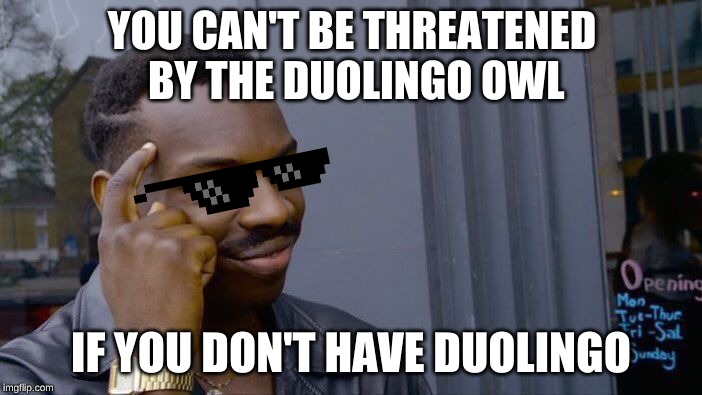 Roll Safe Think About It Meme | YOU CAN'T BE THREATENED BY THE DUOLINGO OWL; IF YOU DON'T HAVE DUOLINGO | image tagged in memes,roll safe think about it | made w/ Imgflip meme maker