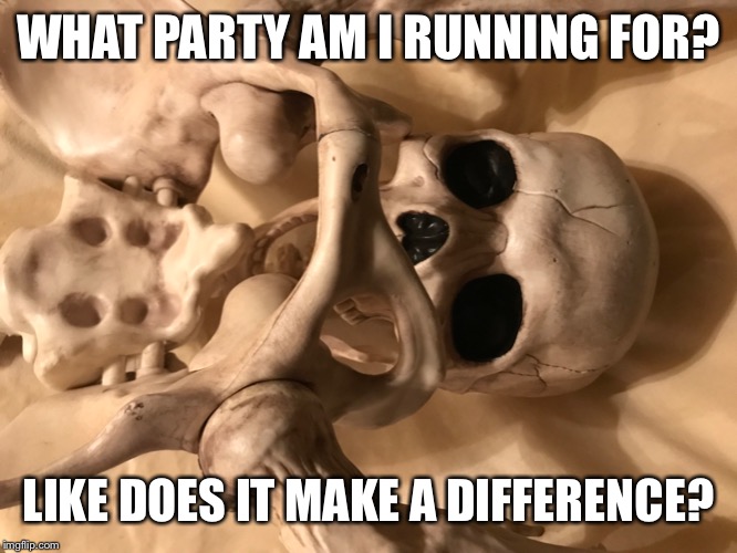 Party politics | WHAT PARTY AM I RUNNING FOR? LIKE DOES IT MAKE A DIFFERENCE? | image tagged in funny meme | made w/ Imgflip meme maker