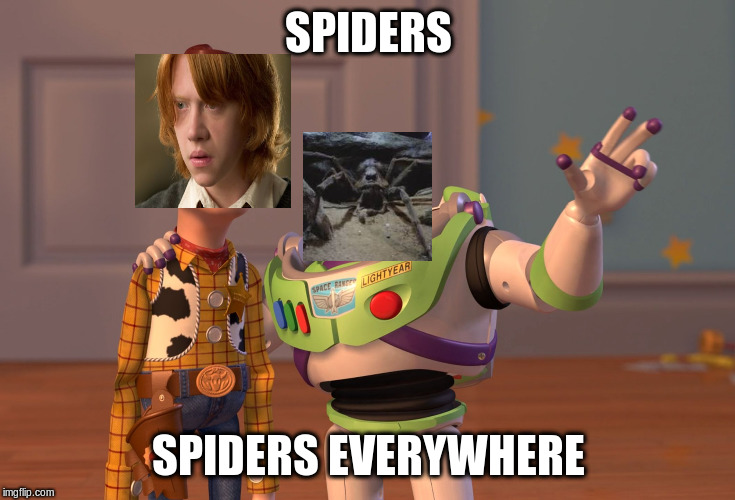 X, X Everywhere Meme | SPIDERS; SPIDERS EVERYWHERE | image tagged in memes,x x everywhere | made w/ Imgflip meme maker