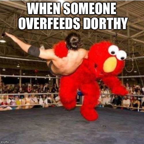 Elmo wrestling | WHEN SOMEONE OVERFEEDS DORTHY | image tagged in elmo wrestling | made w/ Imgflip meme maker