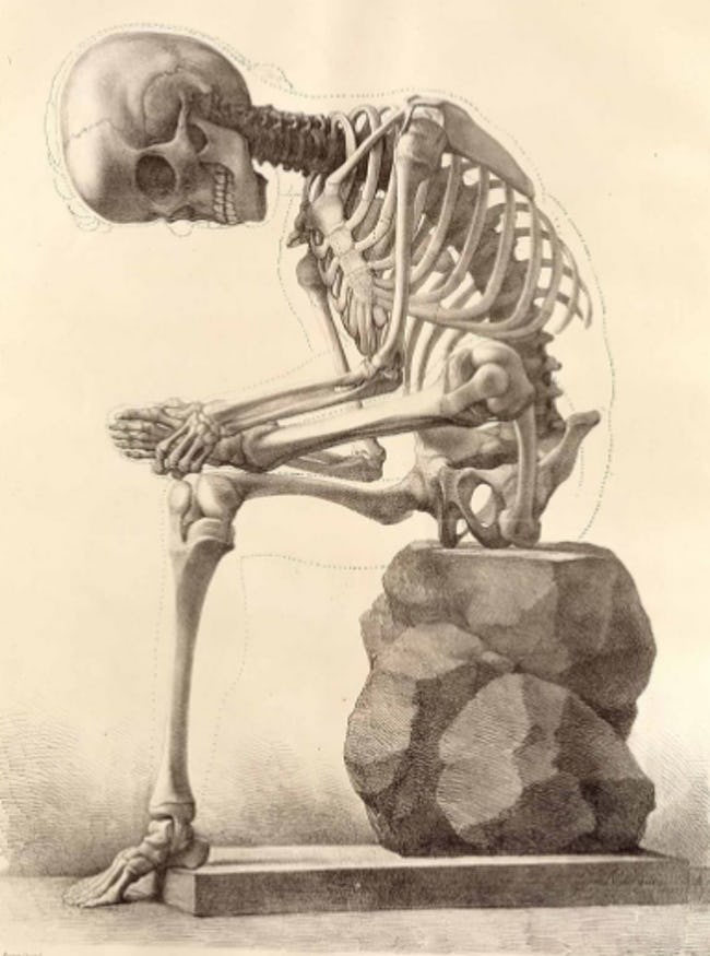 Bones Blank Meme Template