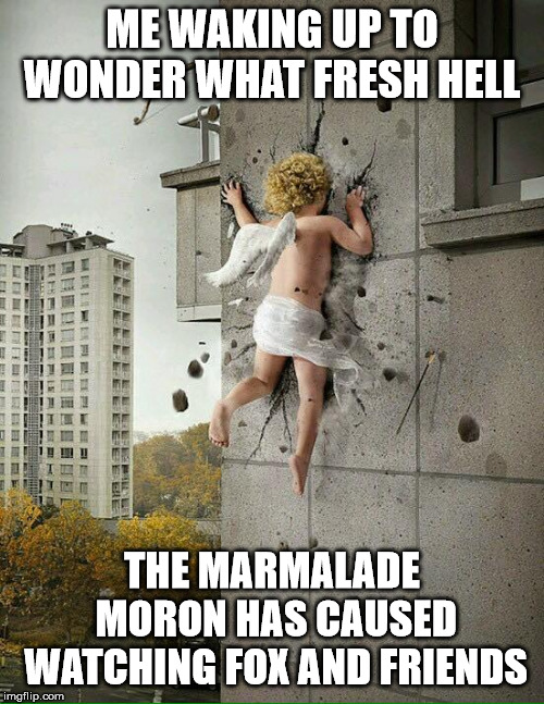 ME WAKING UP TO WONDER WHAT FRESH HELL; THE MARMALADE MORON HAS CAUSED WATCHING FOX AND FRIENDS | image tagged in trump | made w/ Imgflip meme maker