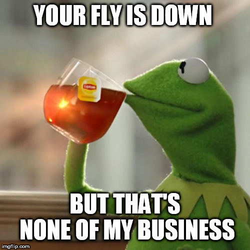 But That's None Of My Business Meme | YOUR FLY IS DOWN; BUT THAT'S NONE OF MY BUSINESS | image tagged in memes,but thats none of my business,kermit the frog | made w/ Imgflip meme maker