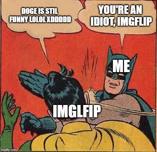 DOGE IS STIL FUNNY LOLOL XDDDDD YOU'RE AN IDIOT, IMGFLIP IMGLFIP ME | image tagged in memes,batman slapping robin | made w/ Imgflip meme maker