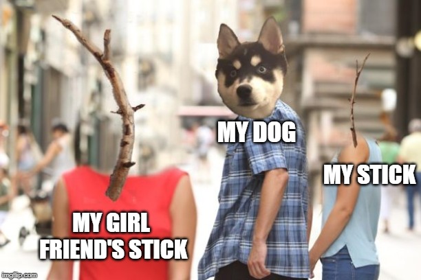 Feeling as Blue as my Dog's Shirt | MY DOG; MY STICK; MY GIRL FRIEND'S STICK | image tagged in vince vance,go fetch,dogs,distracted boyfriend,stick,man's best friend | made w/ Imgflip meme maker