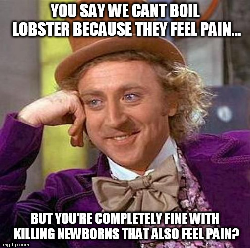 Creepy Condescending Wonka Meme | YOU SAY WE CANT BOIL LOBSTER BECAUSE THEY FEEL PAIN... BUT YOU'RE COMPLETELY FINE WITH KILLING NEWBORNS THAT ALSO FEEL PAIN? | image tagged in memes,creepy condescending wonka | made w/ Imgflip meme maker