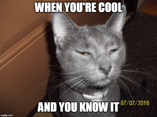 WHEN YOU'RE COOL AND YOU KNOW IT | made w/ Imgflip meme maker