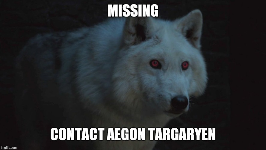 MISSING; CONTACT AEGON TARGARYEN | image tagged in game of thrones | made w/ Imgflip meme maker