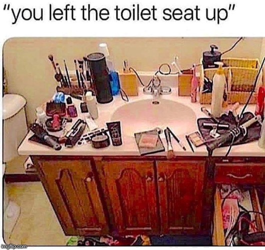 image tagged in toilet seat up | made w/ Imgflip meme maker