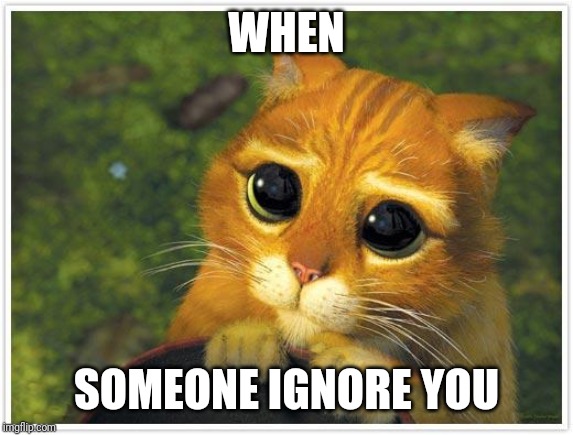Shrek Cat Meme | WHEN; SOMEONE IGNORE YOU | image tagged in memes,shrek cat | made w/ Imgflip meme maker