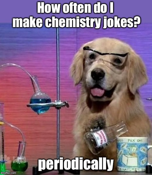 I Have No Idea What I Am Doing Dog Meme | How often do I make chemistry jokes? periodically | image tagged in memes,i have no idea what i am doing dog | made w/ Imgflip meme maker