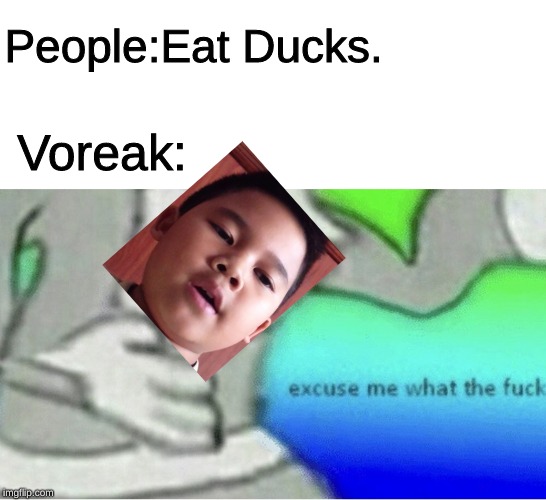 Voreak is a vegan | People:Eat Ducks. Voreak: | image tagged in excuse me wtf blank template | made w/ Imgflip meme maker