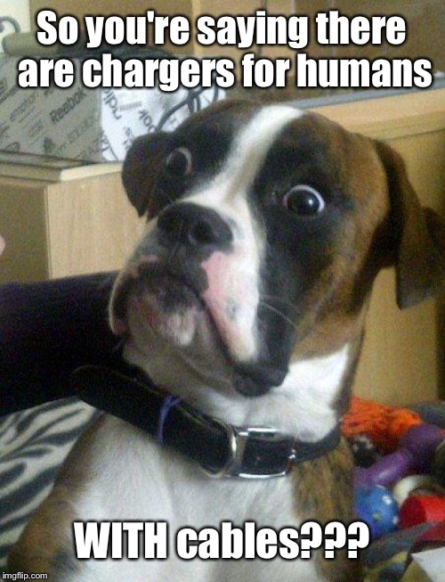 Blankie the Shocked Dog | So you're saying there are chargers for humans WITH cables??? | image tagged in blankie the shocked dog | made w/ Imgflip meme maker
