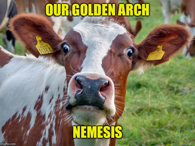 How Dairy!! | OUR GOLDEN ARCH NEMESIS | image tagged in how dairy | made w/ Imgflip meme maker