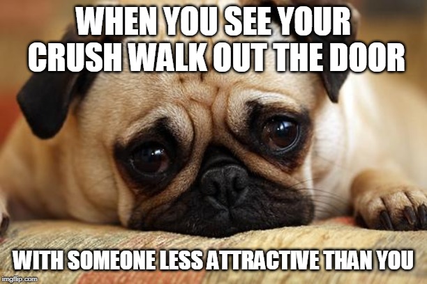 sad pug | WHEN YOU SEE YOUR CRUSH WALK OUT THE DOOR; WITH SOMEONE LESS ATTRACTIVE THAN YOU | image tagged in sad pug | made w/ Imgflip meme maker