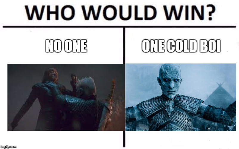 Who Would Win? Meme | NO ONE; ONE COLD BOI | image tagged in memes,who would win | made w/ Imgflip meme maker