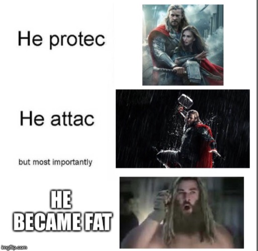 P.S. I already watched endgame & it was awesome! | image tagged in he protec he attac but most importantly,fat thor | made w/ Imgflip meme maker