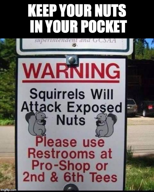 Shedding Light On A Gray Area | KEEP YOUR NUTS IN YOUR POCKET | image tagged in squirrels,nuts,golf,funny signs | made w/ Imgflip meme maker