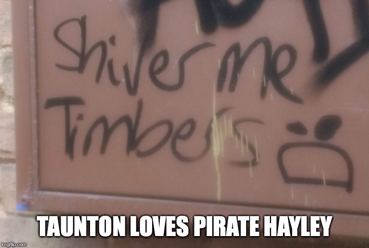 TAUNTON LOVES PIRATE HAYLEY | made w/ Imgflip meme maker