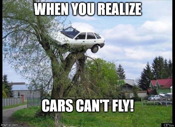 Secure Parking Meme | WHEN YOU REALIZE; CARS CAN'T FLY! | image tagged in memes,secure parking | made w/ Imgflip meme maker