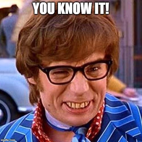 Austin Powers Wink | YOU KNOW IT! | image tagged in austin powers wink | made w/ Imgflip meme maker