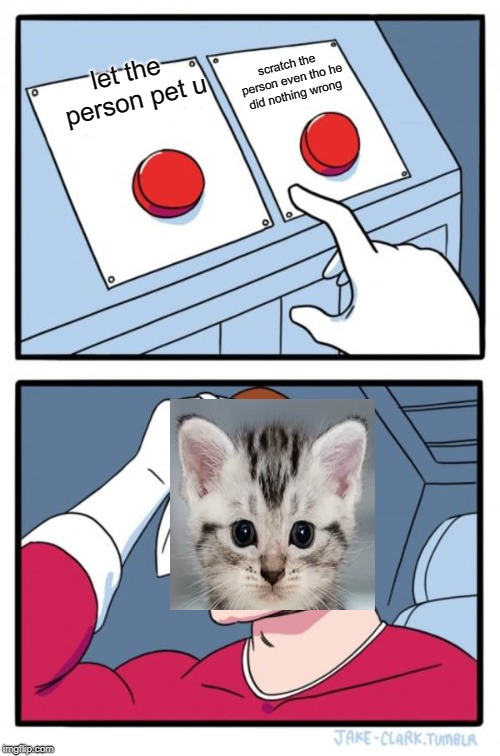 Two Buttons | scratch the person even tho he did nothing wrong; let the person pet u | image tagged in memes,two buttons | made w/ Imgflip meme maker