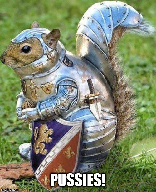 Armor squirrel | PUSSIES! | image tagged in armor squirrel | made w/ Imgflip meme maker