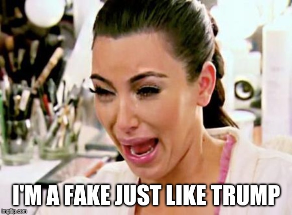 Kim Kardashian | I'M A FAKE JUST LIKE TRUMP | image tagged in kim kardashian | made w/ Imgflip meme maker