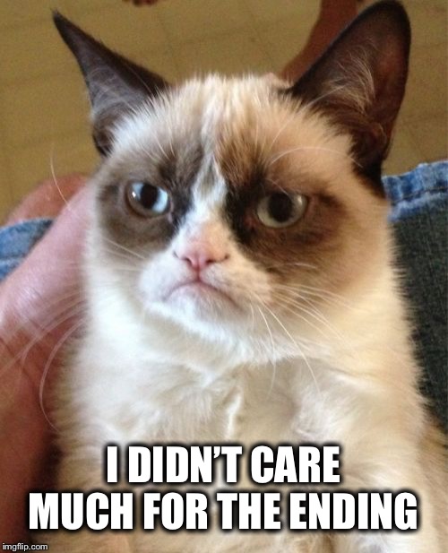Grumpy Cat Meme | I DIDN’T CARE MUCH FOR THE ENDING | image tagged in memes,grumpy cat | made w/ Imgflip meme maker
