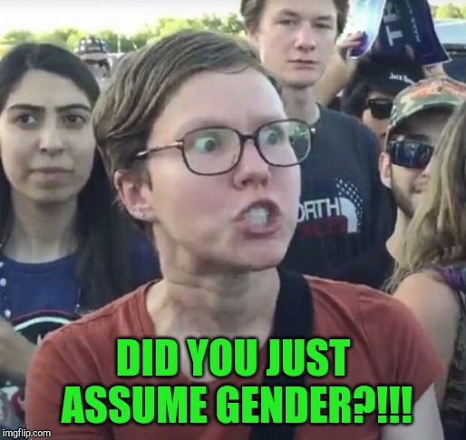 Triggered feminist | DID YOU JUST ASSUME GENDER?!!! | image tagged in triggered feminist | made w/ Imgflip meme maker